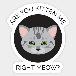 Are You Kitten Me Sticker